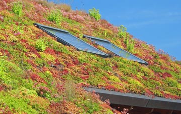 Meikle Kilchattan Butts living roof systems