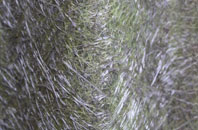 Meikle Kilchattan Butts fibreglass roof work